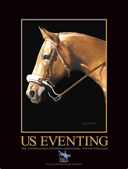 USEA Poster