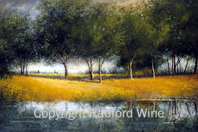 Reflections of the Hill Country